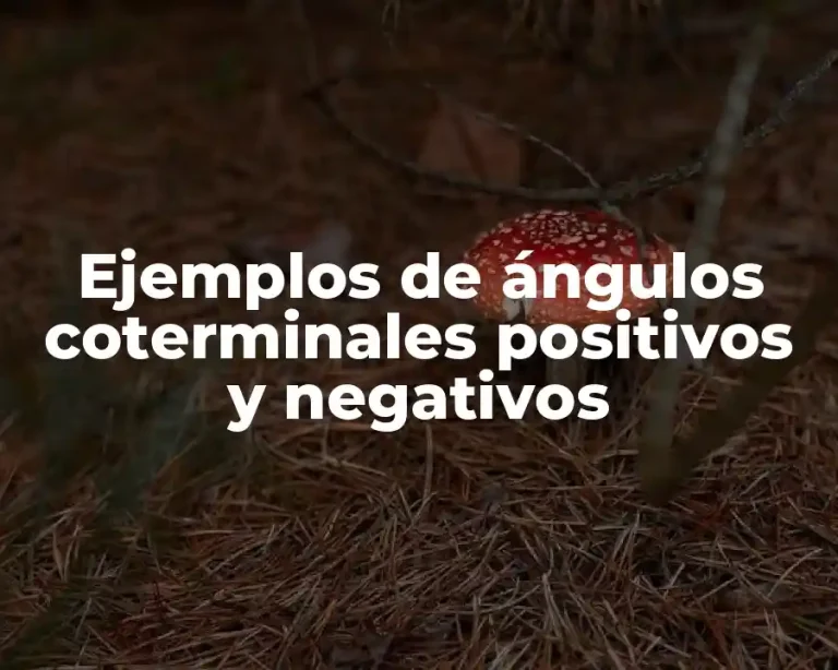 Ejemplos de ángulos coterminales positivos y negativos
