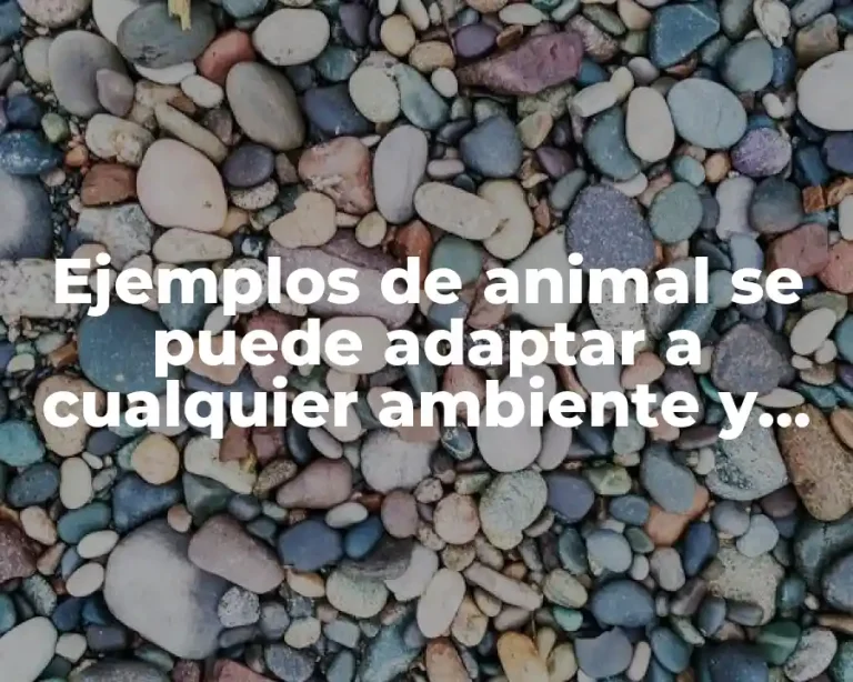 Ejemplos de animal se puede adaptar a cualquier ambiente y Significado