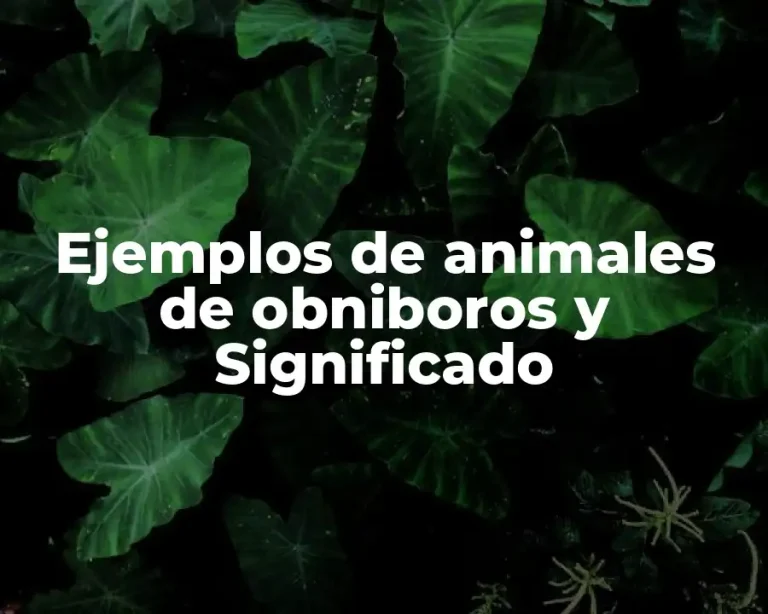 Ejemplos de animales de obniboros y Significado