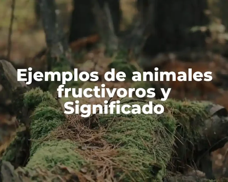 Ejemplos de animales fructivoros y Significado