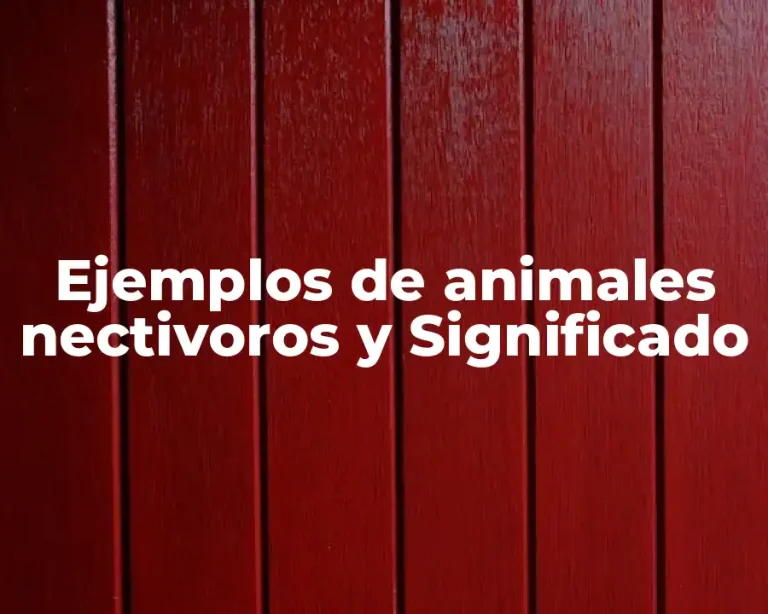 Ejemplos de animales nectivoros y Significado