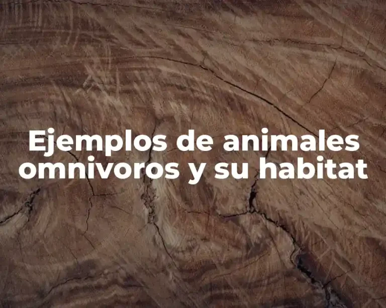 Ejemplos de animales omnivoros y su habitat