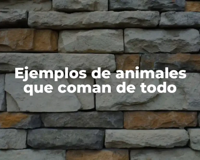 Ejemplos de animales que coman de todo