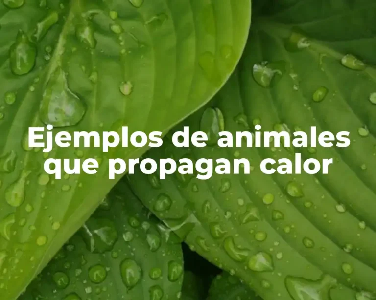 Ejemplos de animales que propagan calor