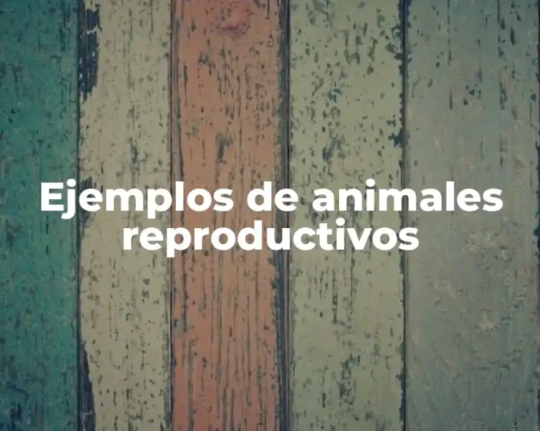 Ejemplos de animales reproductivos