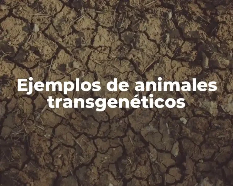 Ejemplos de animales transgenéticos