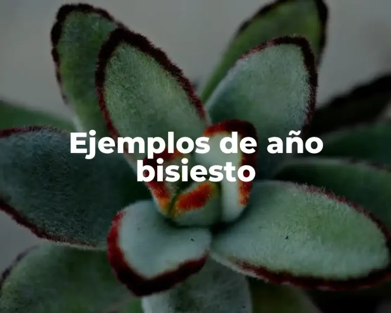Ejemplos de año bisiesto