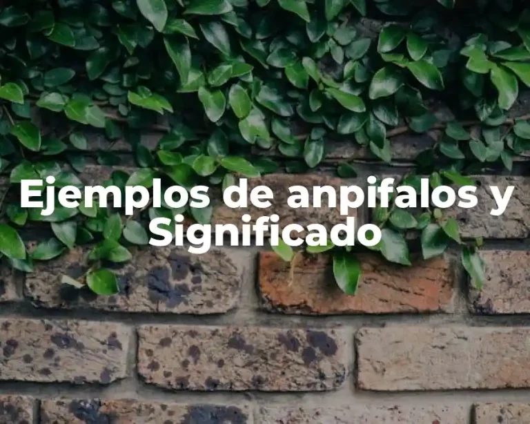 Ejemplos de anpifalos y Significado