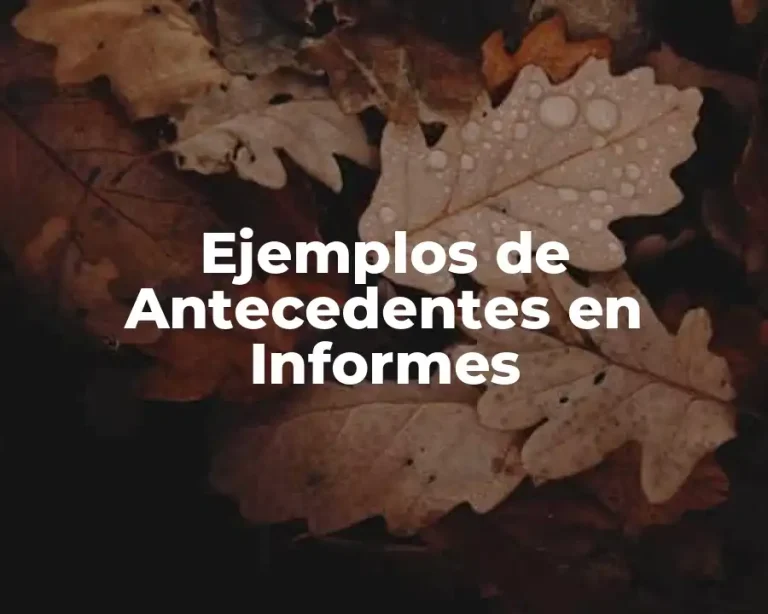 Ejemplos de Antecedentes en Informes