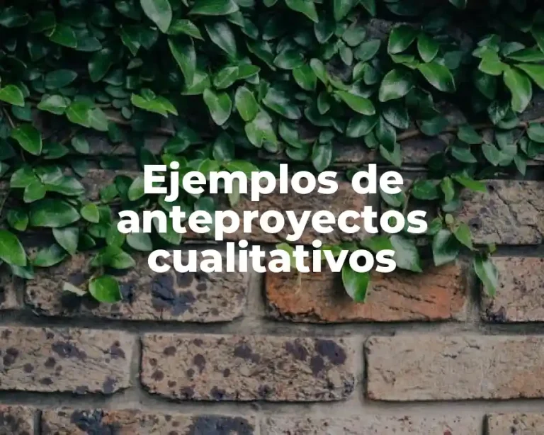 Ejemplos de anteproyectos cualitativos