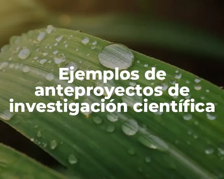 Ejemplos de anteproyectos de investigación científica