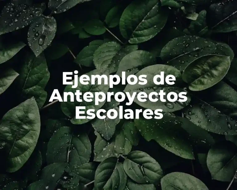 Ejemplos de Anteproyectos Escolares