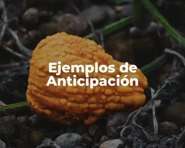 Ejemplos de Anticipación