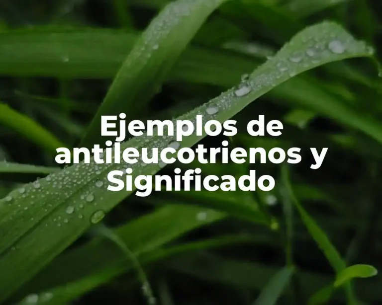 Ejemplos de antileucotrienos y Significado