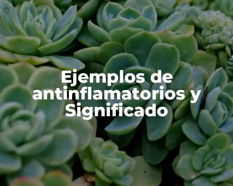 Ejemplos de antinflamatorios y Significado