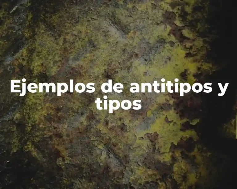 Ejemplos de antitipos y tipos