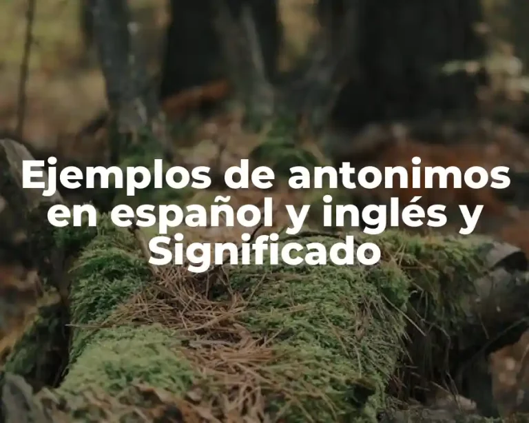 Ejemplos de antonimos en español y inglés y Significado