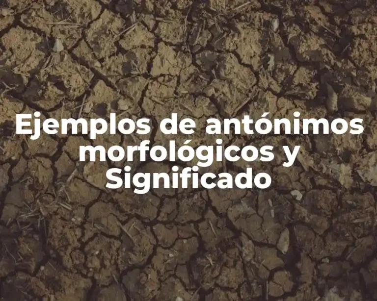 Ejemplos de antónimos morfológicos y Significado