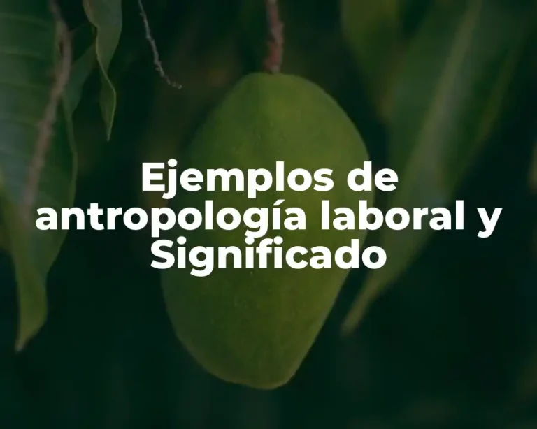 Ejemplos de antropología laboral y Significado