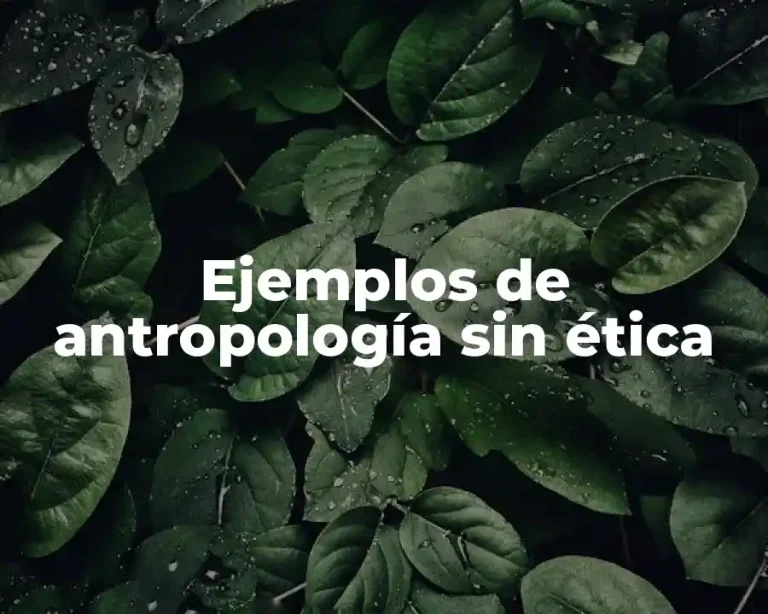 Ejemplos de antropología sin ética