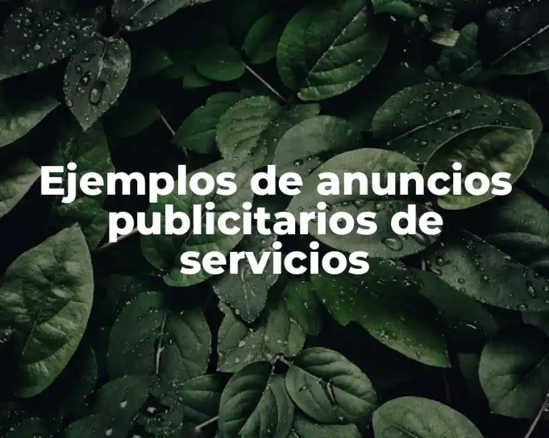 Ejemplos de anuncios publicitarios de servicios