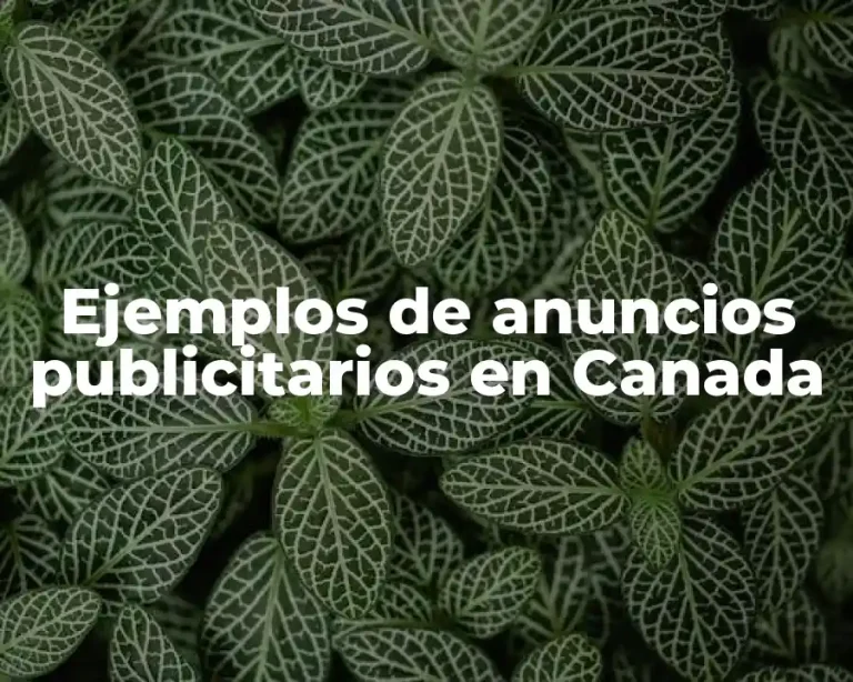 Ejemplos de anuncios publicitarios en Canada