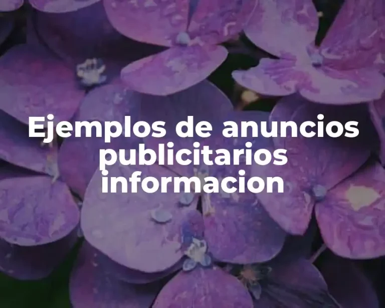 Ejemplos de anuncios publicitarios informacion
