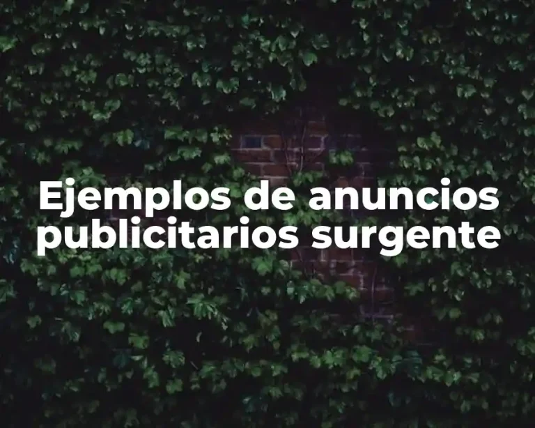 Ejemplos de anuncios publicitarios surgente