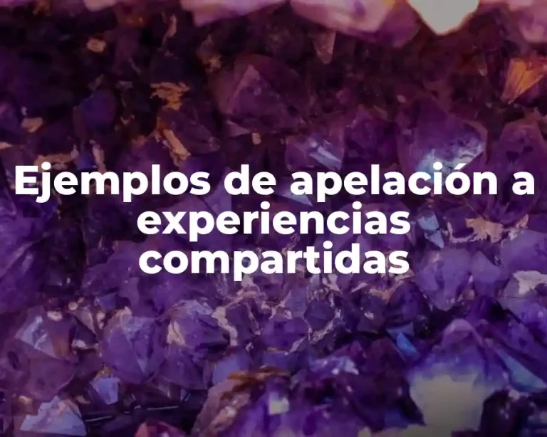 Ejemplos de apelación a experiencias compartidas