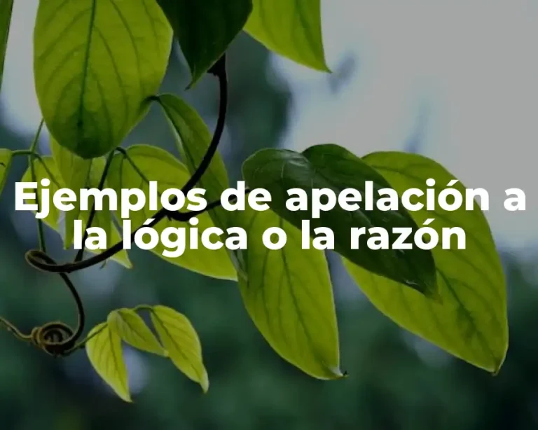 Ejemplos de apelación a la lógica o la razón