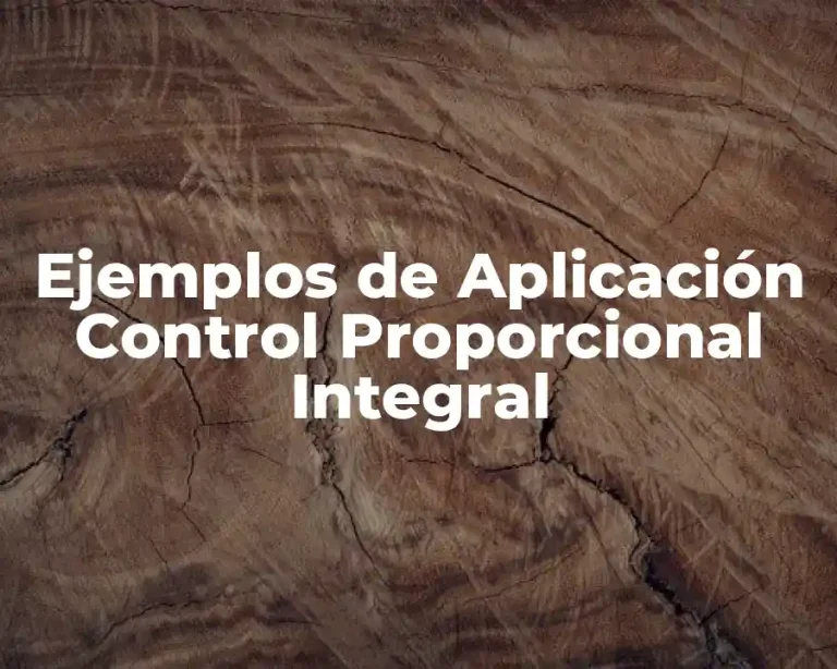 Ejemplos de Aplicación Control Proporcional Integral