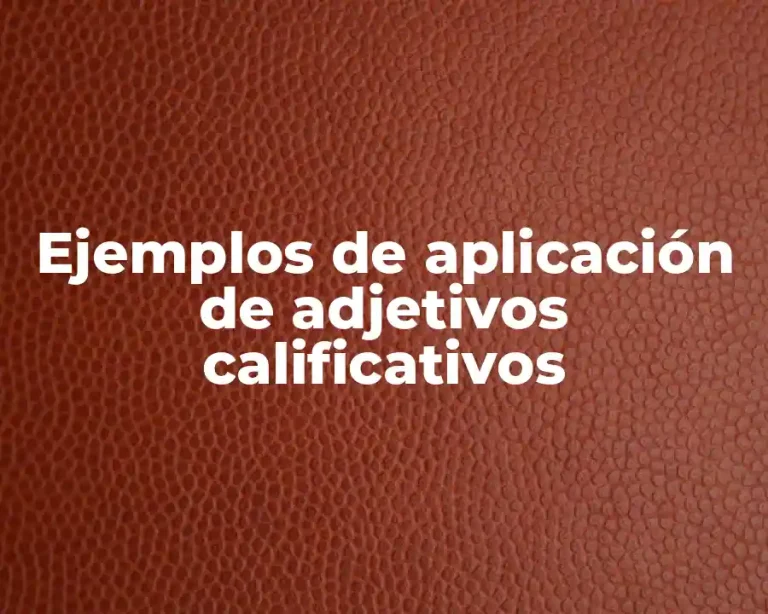 Ejemplos de aplicación de adjetivos calificativos