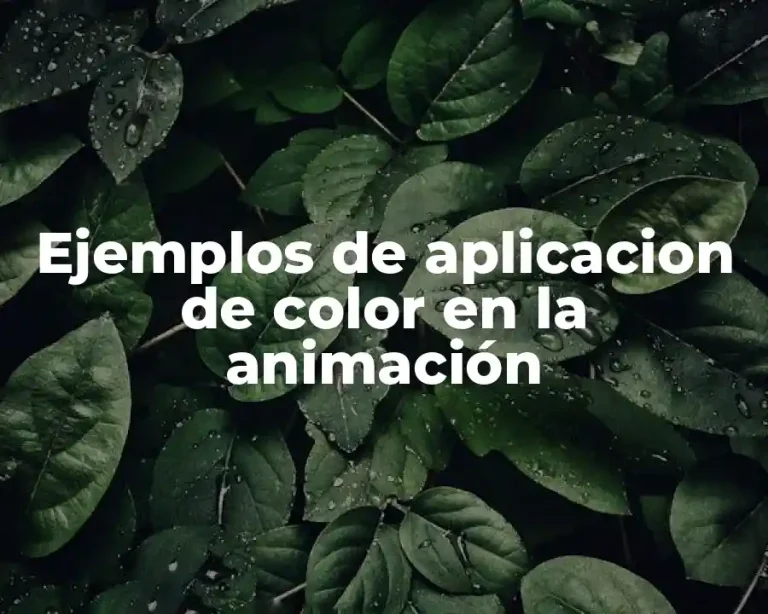 Ejemplos de aplicacion de color en la animación
