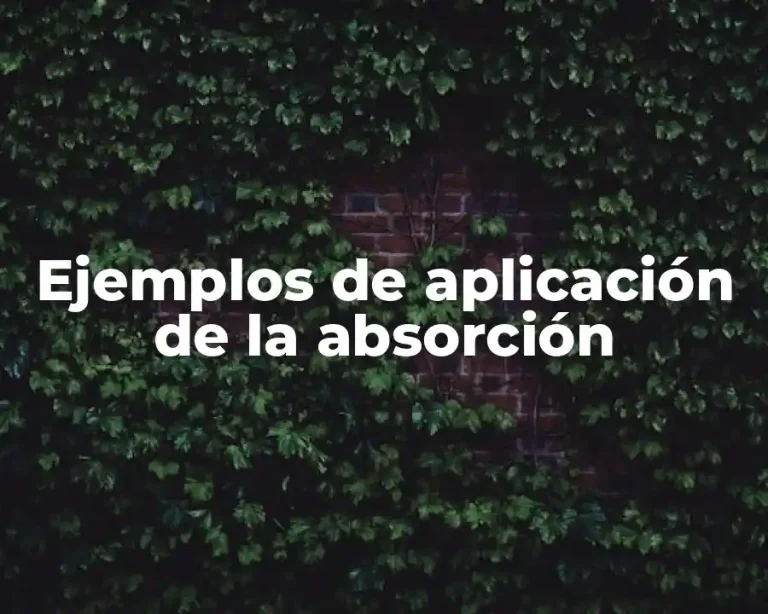 Ejemplos de aplicación de la absorción