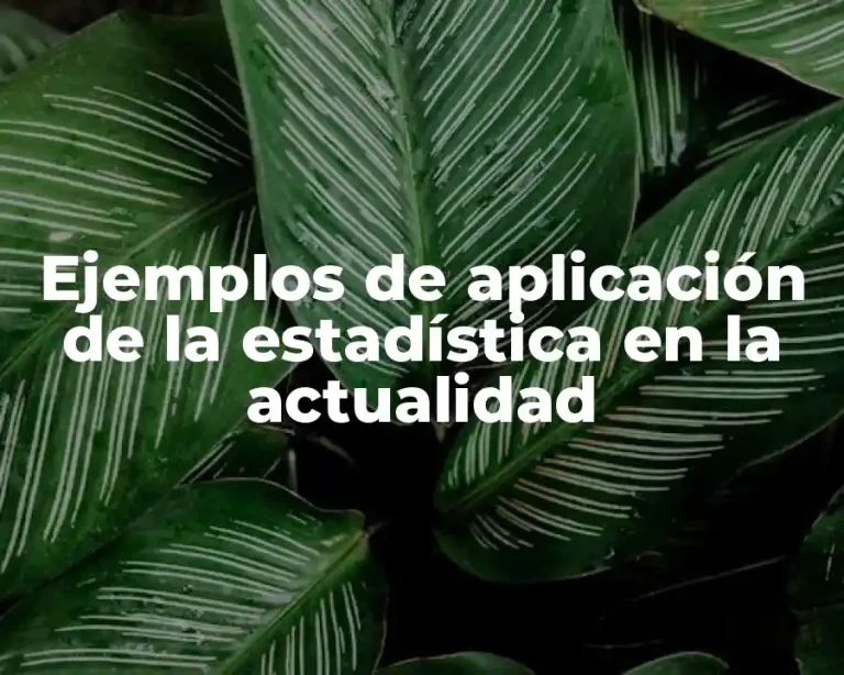 Ejemplos de aplicación de la estadística en la actualidad