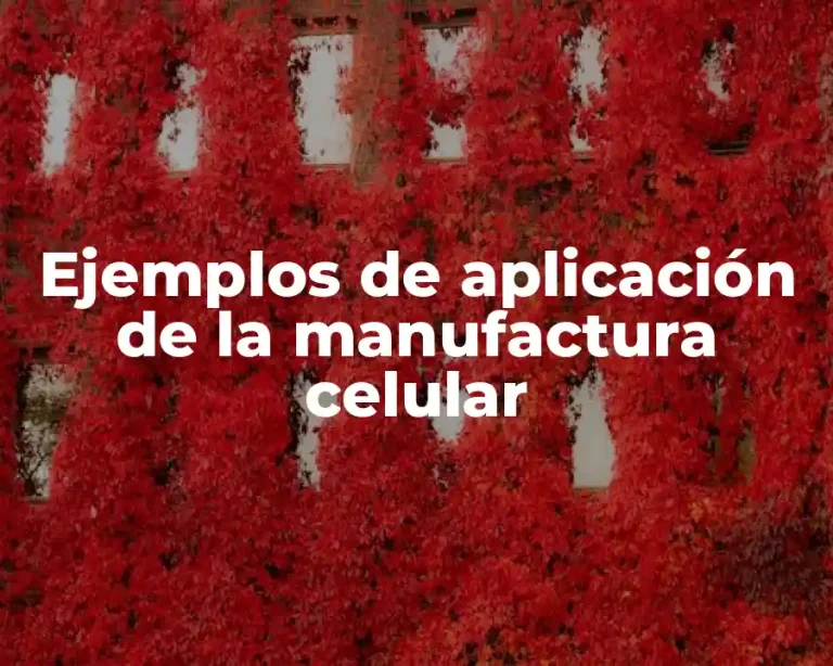 Ejemplos de aplicación de la manufactura celular