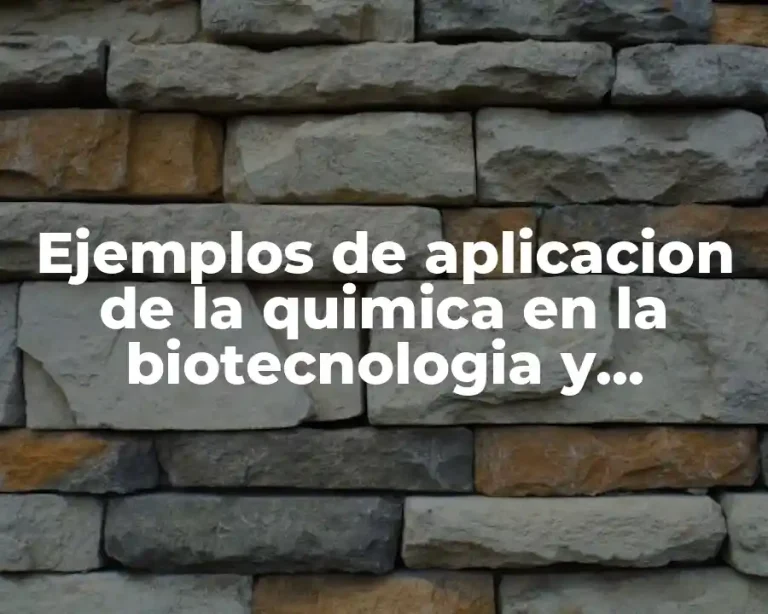 Ejemplos de aplicacion de la quimica en la biotecnologia y Significado