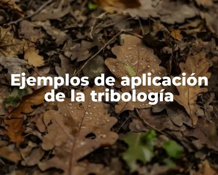 Ejemplos de aplicación de la tribología