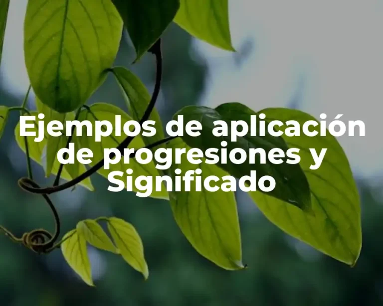 Ejemplos de aplicación de progresiones y Significado