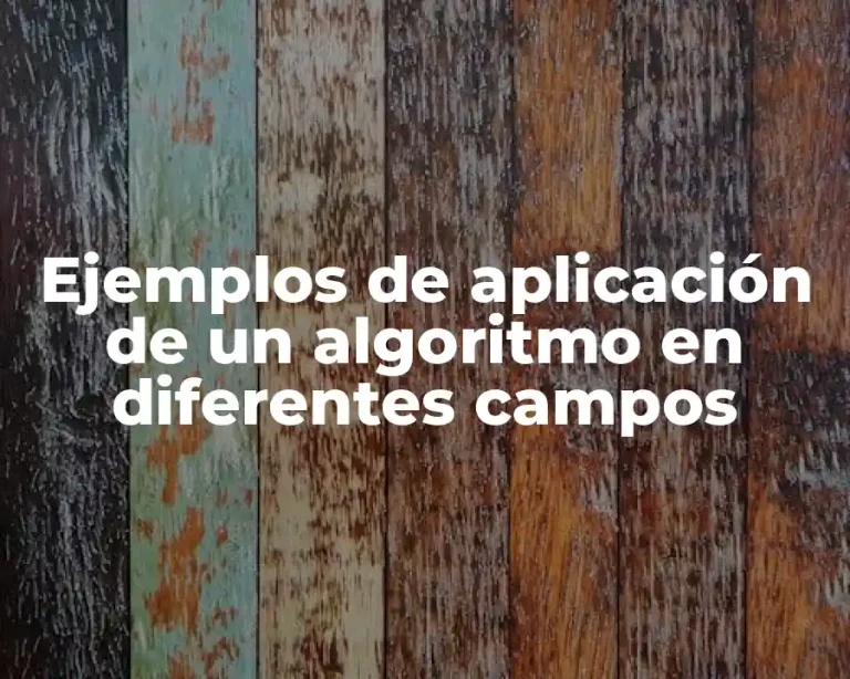 Ejemplos de aplicación de un algoritmo en diferentes campos