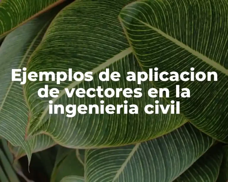 Ejemplos de aplicacion de vectores en la ingenieria civil