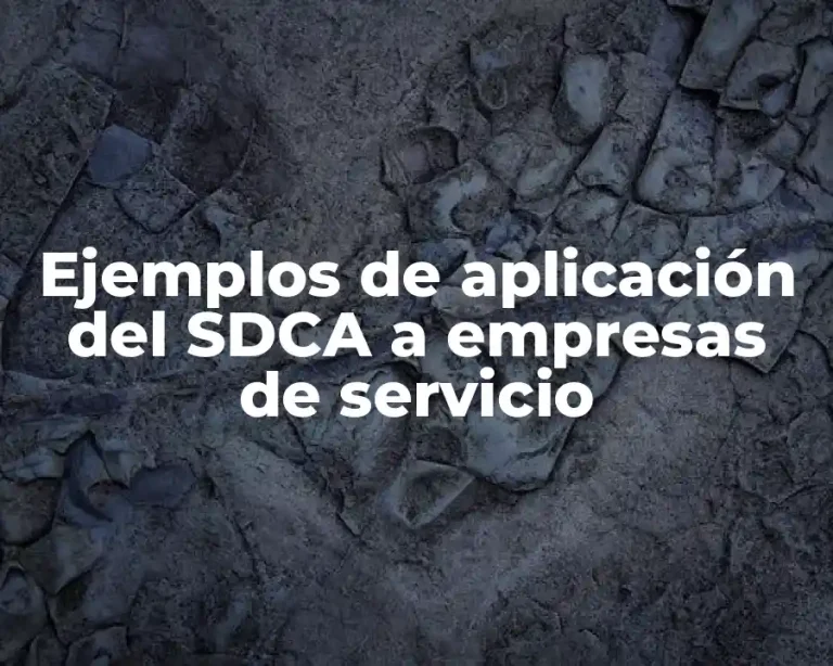 Ejemplos de aplicación del SDCA a empresas de servicio