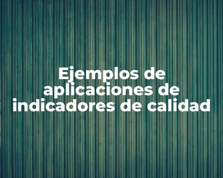 Ejemplos de aplicaciones de indicadores de calidad