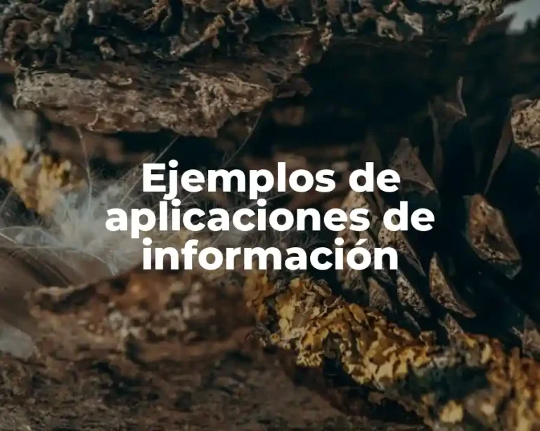 Ejemplos de aplicaciones de información