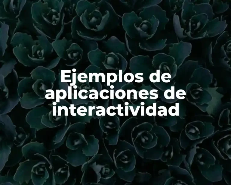 Ejemplos de aplicaciones de interactividad