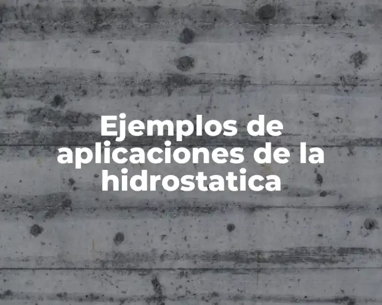 Ejemplos de aplicaciones de la hidrostatica