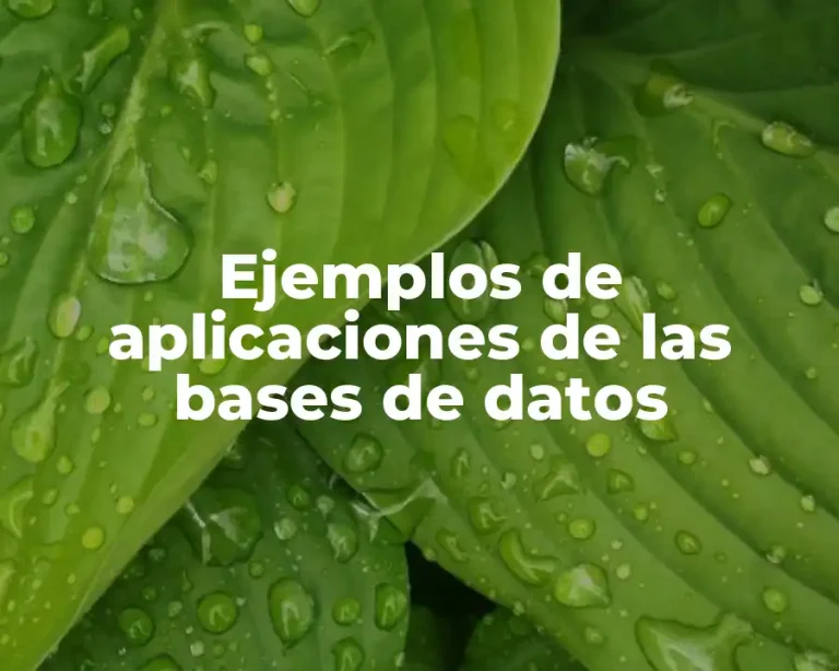 Ejemplos de aplicaciones de las bases de datos