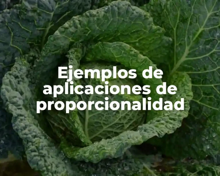 Ejemplos de aplicaciones de proporcionalidad