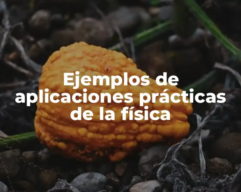 Ejemplos de aplicaciones prácticas de la física