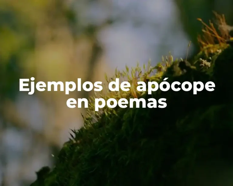 Ejemplos de apócope en poemas